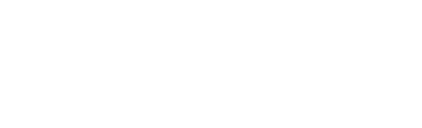 Swissskin SW